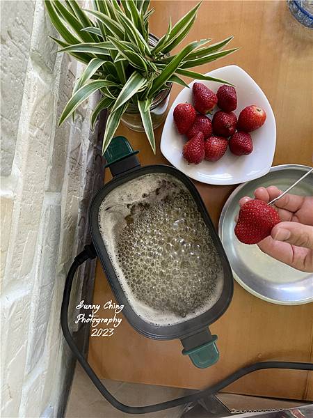 【食譜居家料理】古早味糖葫蘆#1，自製草莓糖葫蘆，試試看用二號砂糖來製作 桑妮晴的日常紀錄  草莓 (9).jpg