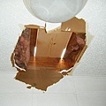 Palisades_apt305_Ceiling_6.JPG