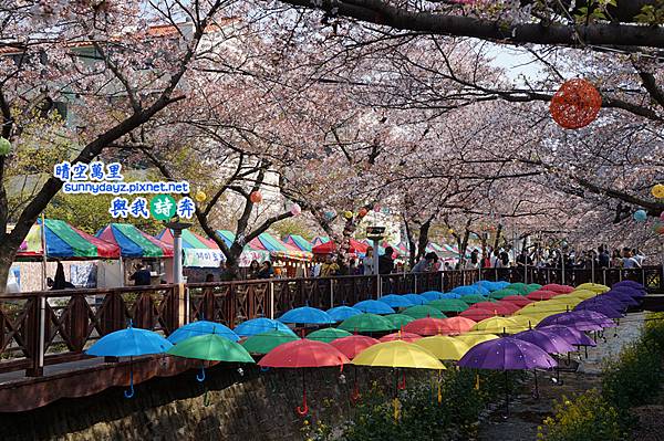 Jinhae020.jpg