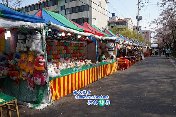 Jinhae027.jpg