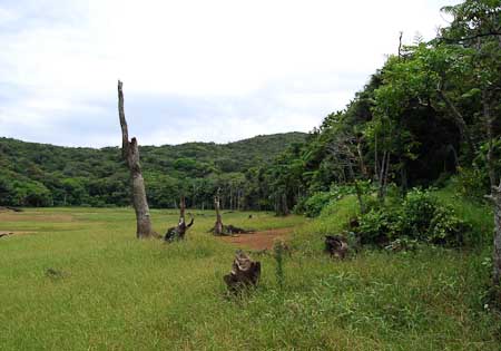DSC_0302.jpg