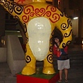 DSC05831.jpg
