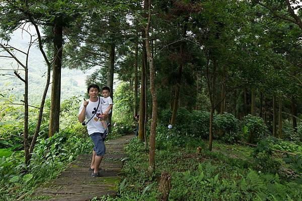 Dad 和杰弟走步道