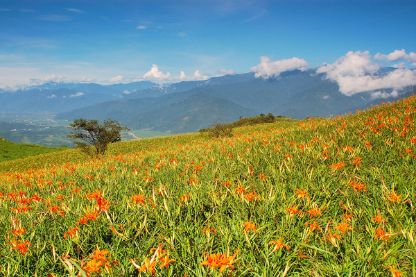 六十石山1.jpg