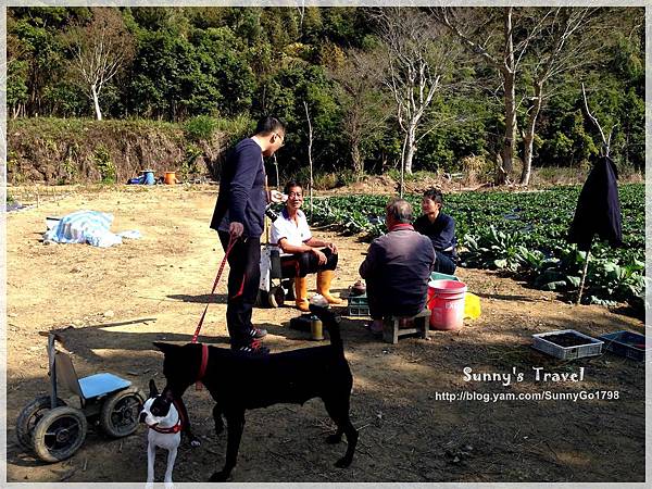9耀婆山草莓園 (6).JPG 9耀婆山草莓園 (6).JPG