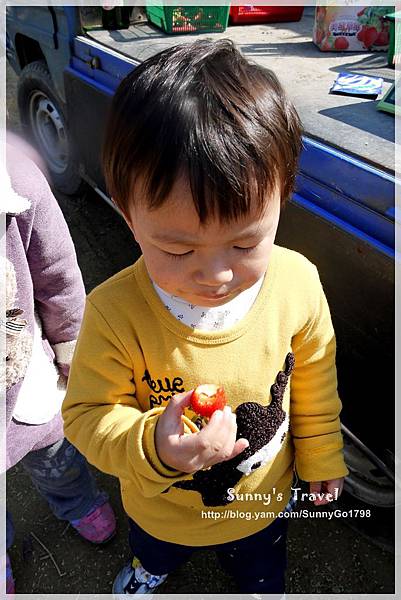 9耀婆山草莓園 (20).JPG 9耀婆山草莓園 (20).JPG