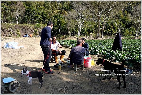 9耀婆山草莓園 (21).JPG