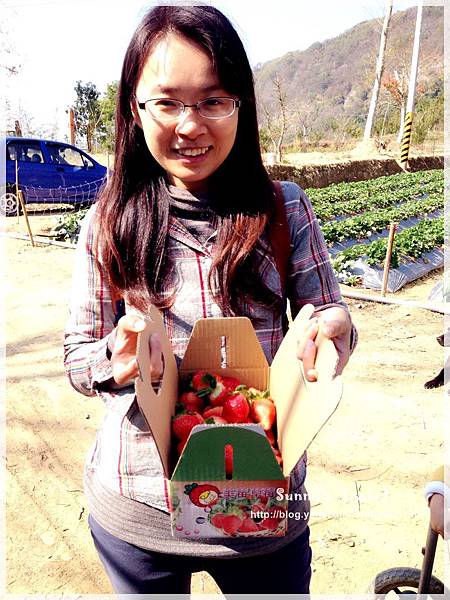 9耀婆山草莓園 (25).JPG 9耀婆山草莓園 (25).JPG