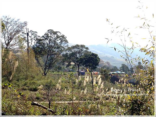 9耀婆山草莓園 (29).JPG 9耀婆山草莓園 (29).JPG