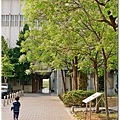 P1260346.JPG