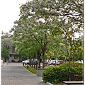 P1260384.JPG