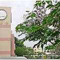 P1260392.JPG