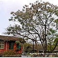 P1260415.JPG