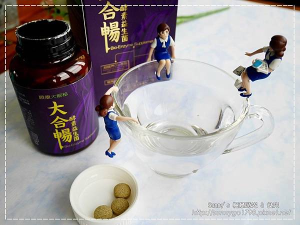 P1030811.JPG 試用