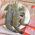 段泰國蝦_水產生鮮_泰國蝦推薦 (14).JPG