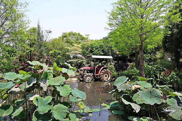田寮農莊_景觀餐廳_辦桌菜_特色料理_親子餐廳 (48).JPG