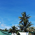 IMG_0874.jpg
