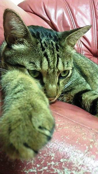 IMAG0657.jpg IMAG0657.jpg