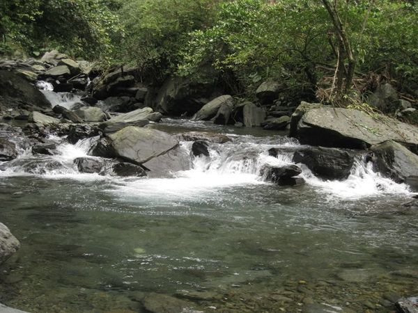 新寮瀑布步道3.jpg