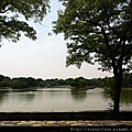 constitution garden pond 2.jpg