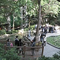 i 1312.jpg