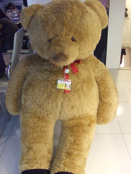 My bear 082.jpg