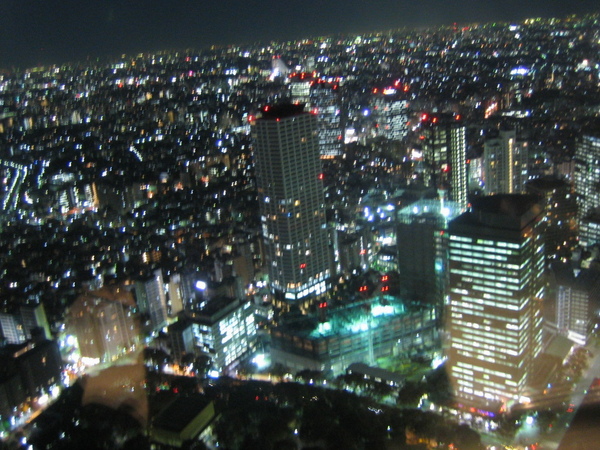 東京都廳看出去的夜景