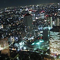 東京都廳看出去的夜景