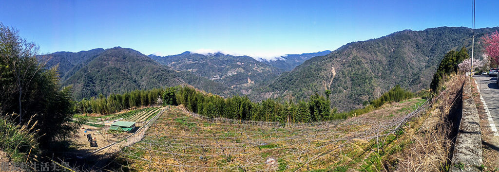 IMAG7410.jpg IMAG7410.jpg