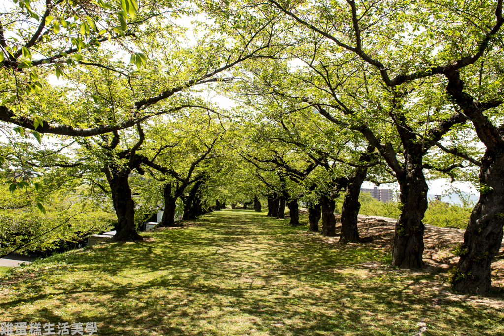 【日本旅行】北海道六天五夜旅行 DAY3 - 函館(五稜郭、