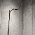 PXL_20240513_034242754.jpg