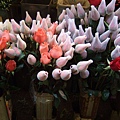 菜市場裡的花店(特殊的花朵包裝方法)