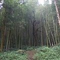 神社遺址