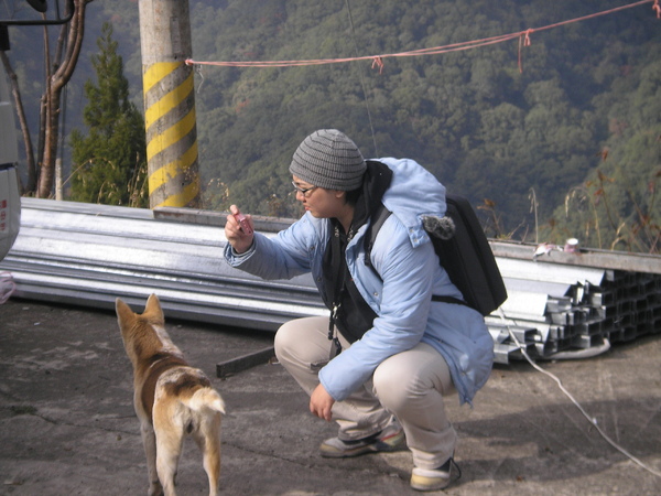 20081213-拉拉山觀光巴士一日遊 162.jpg