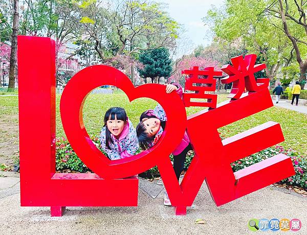 ★桃園景點★ 莒光環保公園，平地就有超美賞櫻點，八重櫻滿開了