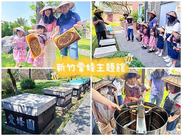 ★新竹親子景點★ 小小養蜂職人，認識蜜蜂生態和動手採蜜體驗，