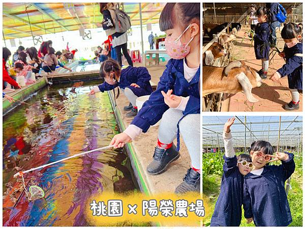 ★桃園農場★ 陽榮生態農場，餵動物釣魚蝦撈青蛙看飛機體驗小農