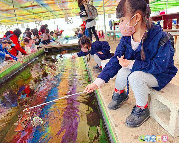 ★桃園農場★ 陽榮生態農場，餵動物釣魚蝦撈青蛙看飛機體驗小農