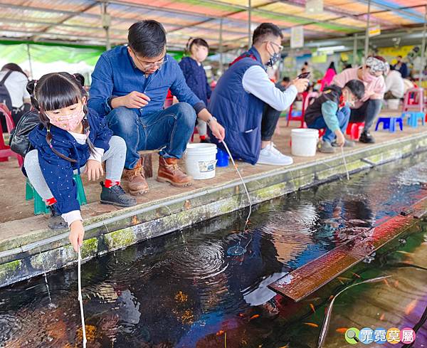 ★桃園農場★ 陽榮生態農場，餵動物釣魚蝦撈青蛙看飛機體驗小農