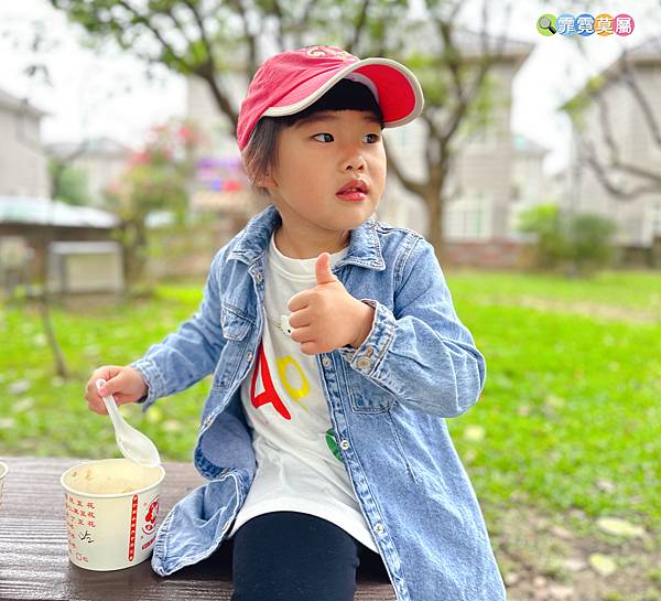 ★桃園公園★ 大溪埔頂公園，萬坪森林一次可以玩三座遊戲場，滾