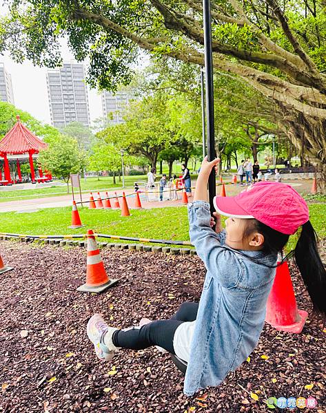 ★桃園公園★ 大溪埔頂公園，萬坪森林一次可以玩三座遊戲場，滾