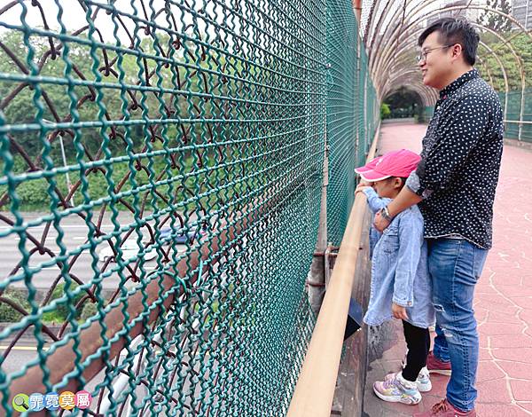 ★桃園公園★ 大溪埔頂公園，萬坪森林一次可以玩三座遊戲場，滾