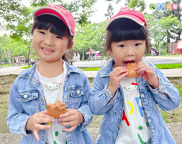 ★桃園公園★ 大溪埔頂公園，萬坪森林一次可以玩三座遊戲場，滾