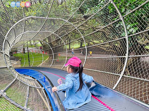 ★桃園公園★ 大溪埔頂公園，萬坪森林一次可以玩三座遊戲場，滾