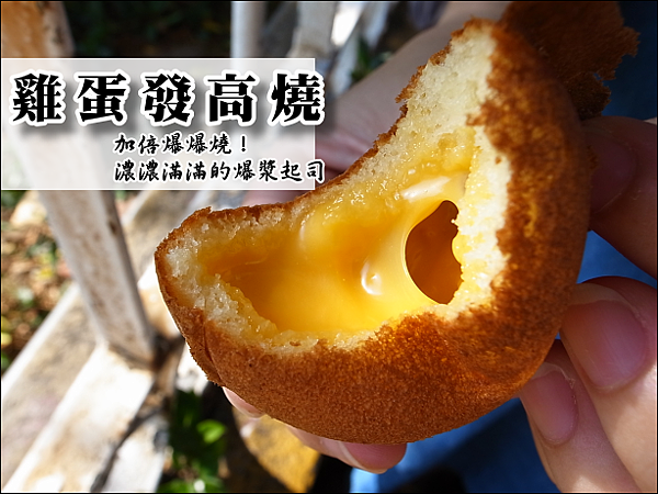 R0060387 R0060387