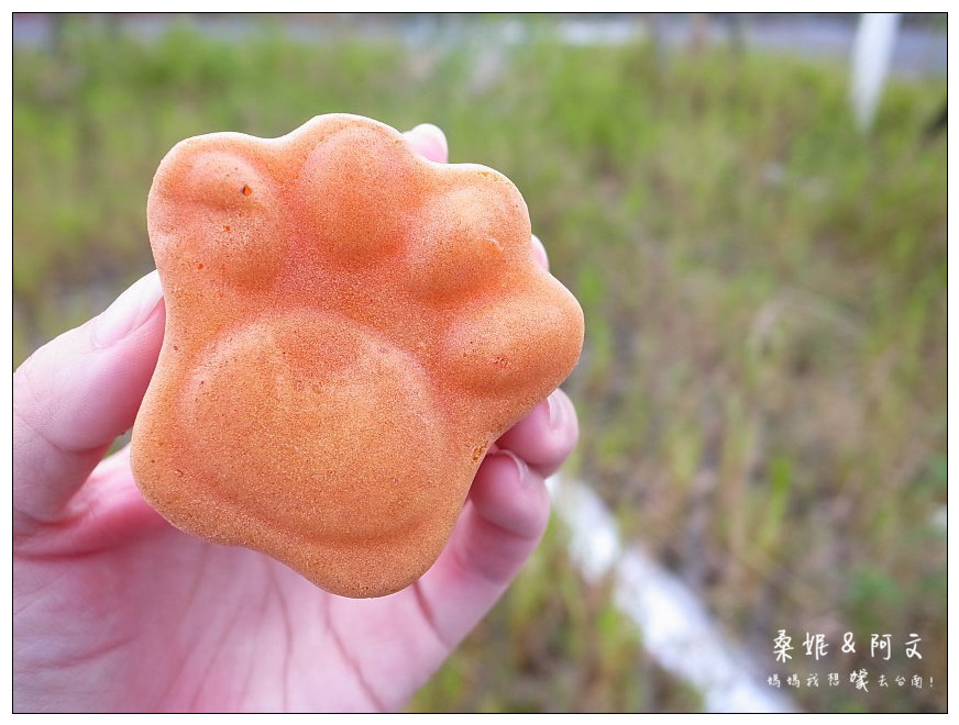 【台南安平】柯吉BAR 鮮奶脆皮雞蛋糕|人氣國民銅板美食,萌萌喵掌好可愛~豐富內餡好好吃! 【台南安平】柯吉BAR 鮮奶脆皮雞蛋糕|人氣國民銅板美食,萌萌喵掌好可愛~豐富內餡好好吃!