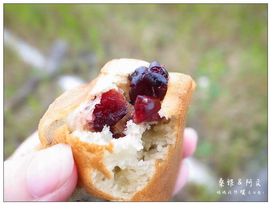 【台南安平】柯吉BAR 鮮奶脆皮雞蛋糕|人氣國民銅板美食,萌萌喵掌好可愛~豐富內餡好好吃! 【台南安平】柯吉BAR 鮮奶脆皮雞蛋糕|人氣國民銅板美食,萌萌喵掌好可愛~豐富內餡好好吃!