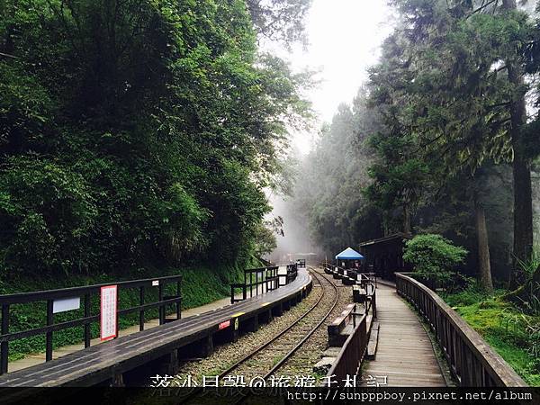 嘉義_阿里山國家公園 (314)_調整大小.JPG