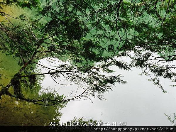 嘉義_阿里山國家公園 (428)_調整大小.JPG