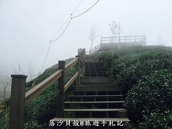 大崙山．樟空倫山步道 (28)_調整大小.JPG